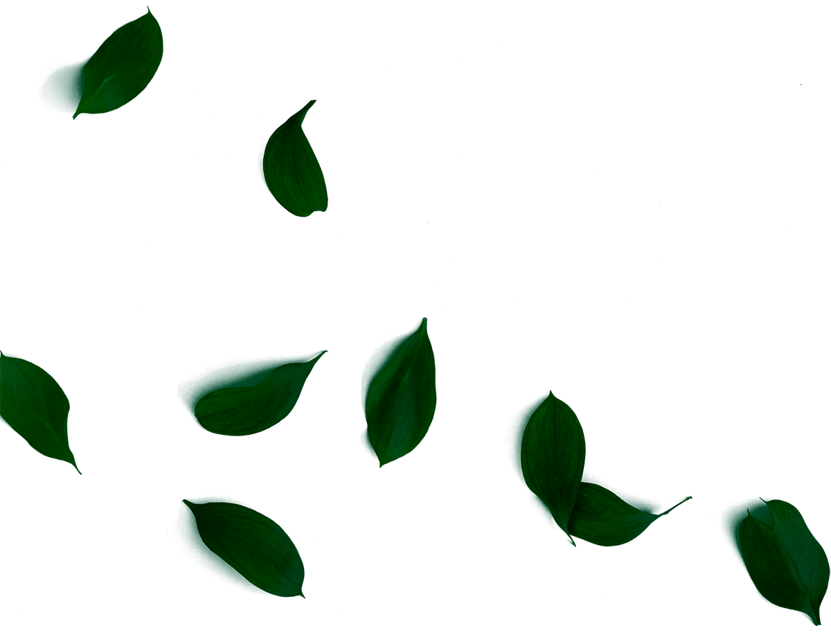 background-leafs